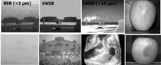 Fig. 7. Imaging through SWIR.