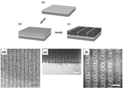 Fig. 5. (a), (b), (c) Experimental procedure for directed assembly of the novel nanostructure in block copolymer thin films