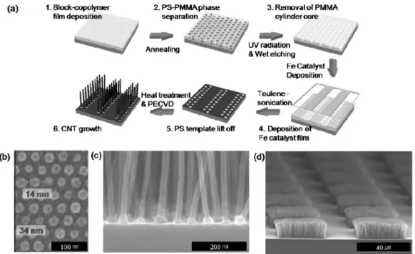Fig. 7. (a) Scheme for fabrication of hierarchical CNT patterns, (b) SEM image of nanopatterned iron atalyst particles