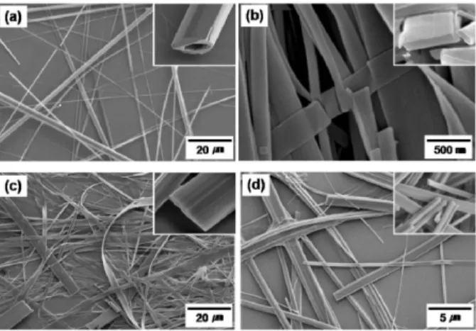 Fig. 8. Morphologies of diverse nanostructures formed in the various solvents: (a) Nanotubes (water), the inset image represents the hollow tubular structure