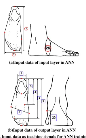 Fig.  3  Schematic  drawing  of  input  data  in  input  and  output layer for ANN training 