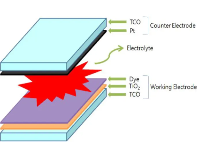 Fig. 1. A structure of standard dye-sensitized solar cell. 그림 1. 표준형 염료감응형 태양전지 구조 를 통해 이동한 전자는 TCO 전극을 통해 외부 회로로 이동하면서 전류가 흐르게 된다