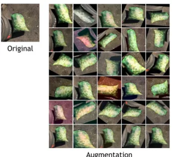 Fig. 11. The result of data augmentation.