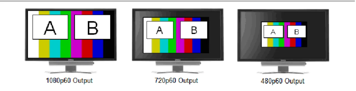 Figure 7. Multi-Viewer Mode