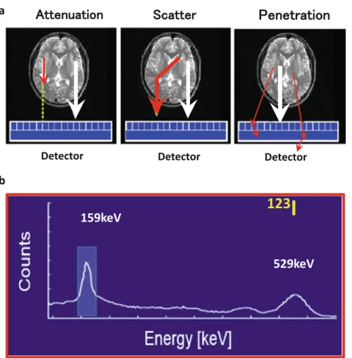 Fig. 2.1 (a) Error sources which need to be compensated for in quantitative reconstruction of brain SPECT images, attenuation, scatter, and photon penetration