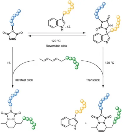 Fig. 6.2 TAD residue in reversible click-chemistry transformations (Taken from [45])