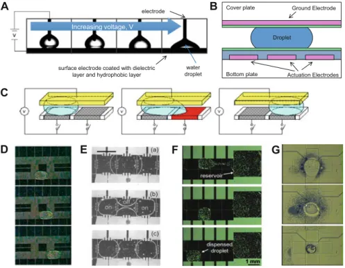 Fig. 7.2 Structure and operation of EWOD microfluidic chips. (a) Illustration of the