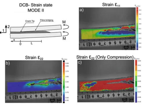 Fig. 4.4 Strain distribution at the crack tip during Mode II fracture (Pereira et al. 2015)