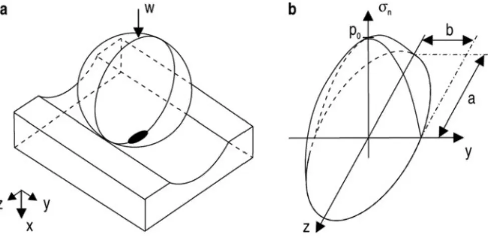 Fig. 9.2 (a) Elliptical contact area in black and in (b) the corresponding surface stress distribution (Jacobs 2014)