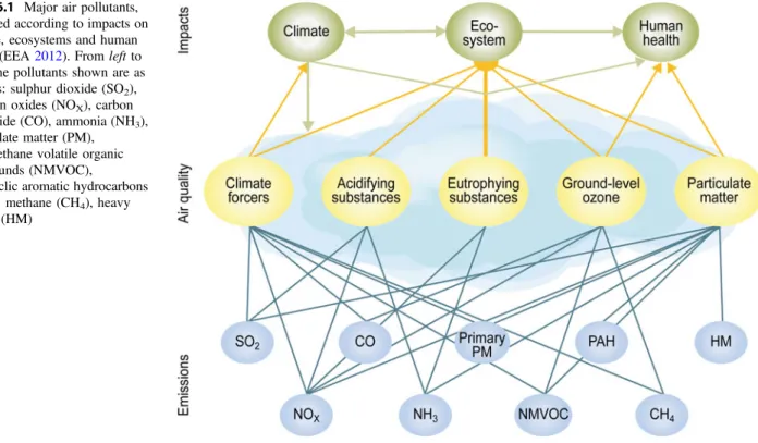Fig. 16.1 Major air pollutants, clustered according to impacts on climate, ecosystems and human health (EEA 2012)