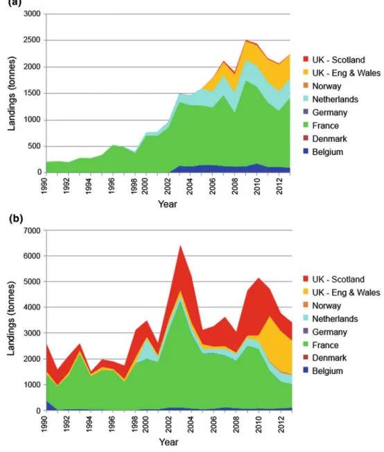 Fig. 12.3 International ﬁ shery landings of seabass (upper) and squid (lower) in the North Sea and eastern English Channel (data for 1999 were excluded as no French data were submitted to ICES in that year)