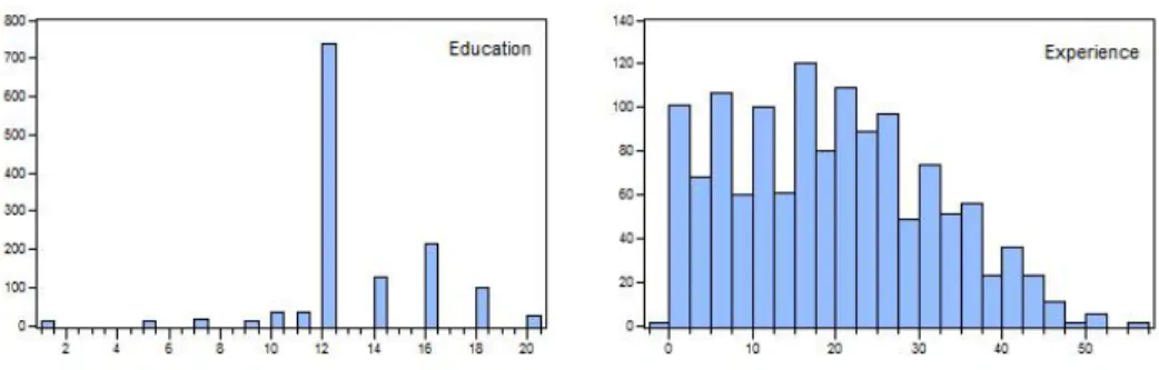 Figure 4.2: Histograms for Wage Covariates