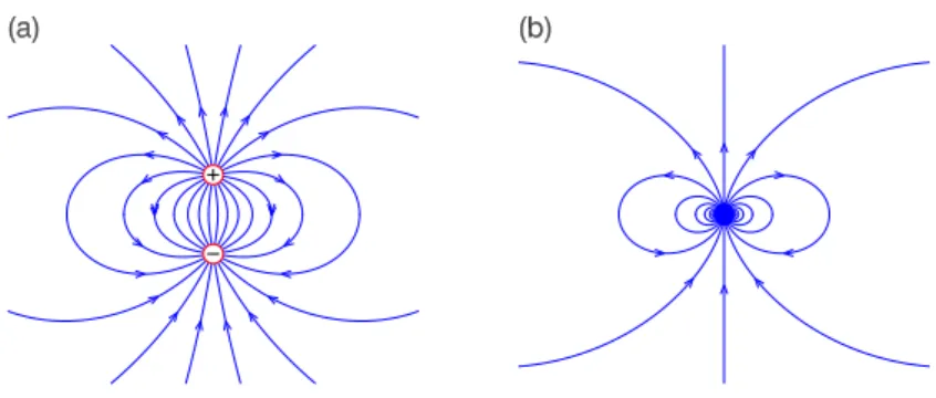 Figure 3.3: Field lines of (a) a physical dipole, and (b) a pure dipole.