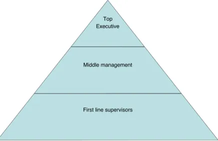 Figure 6.1 Basic bureaucratic structure