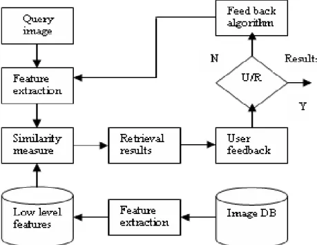 Hình 1-2 : Mô hình tổng quát hệ thống tra cứu ảnh sử dụng phản hồi liên quan  Ý tƣởng chính của phản hồi liên quan là chuyển trách nhiệm tìm kiếm  xây dựng truy vấn đúng từ ngƣời dùng sang hệ thống
