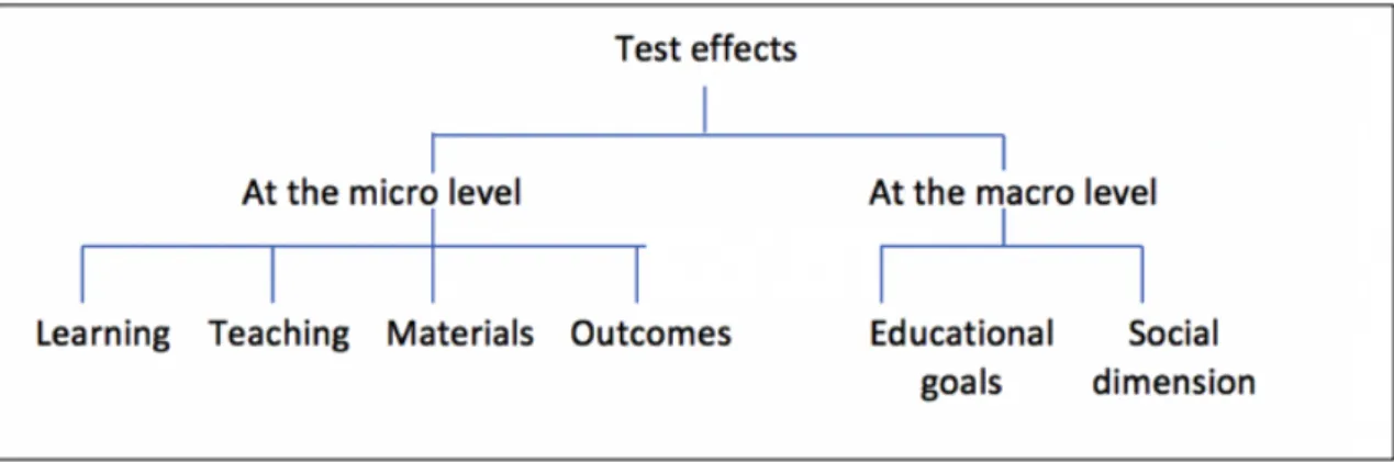 Figure 1: A holistic model of test effect