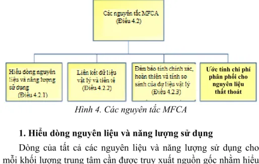 Hình 4. Các nguyên tắc MFCA 