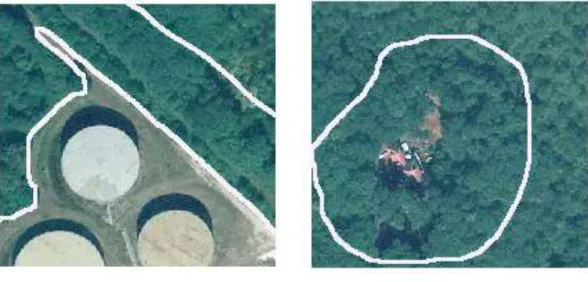 Hình 2.3. Rừng cạnh  Hình 2.4. Rừng khuyết lõi  Minh họa bốn loại cảnh quan rừng trên bản đồ được thể hiện như hình 2.5