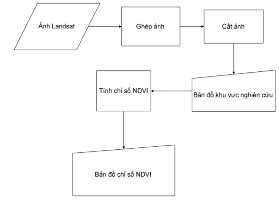 Hình 3.2. Sơ đồ thành lập bản đồ chỉ số NDVI  3.2.2.  Phương pháp thành lập bản đồ chỉ số TWI 