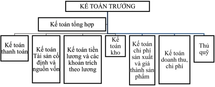 Sơ đồ 2.2: Sơ đồ tổ chức bộ máy kế toán của công ty TNHH Công Nghiệp Giầy  AURORA Việt Nam 