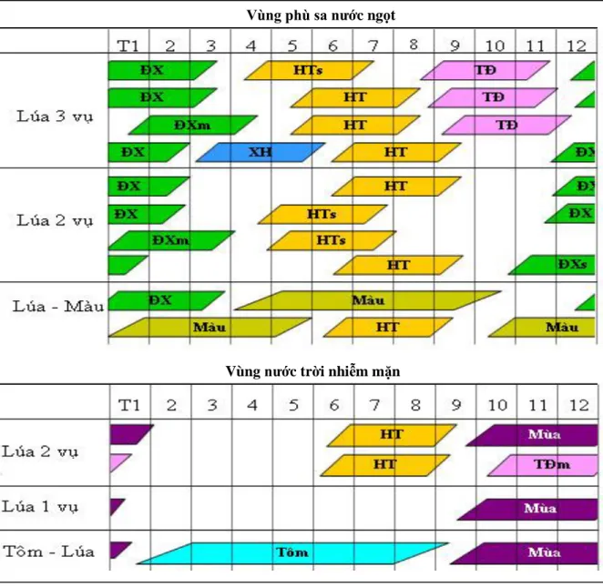 Hình 4.16: Cơ cấu mùa vụ điển hình của hai vùng sản xuất chính vùng ĐBSCL  (Nguồn: Trần Thanh Thi, 2012) 