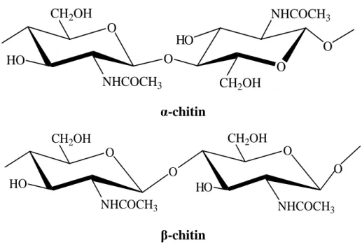 Hình 1.1. Cấu tạo phân tử của xenlulozơ, α-chitin và β-chitin 