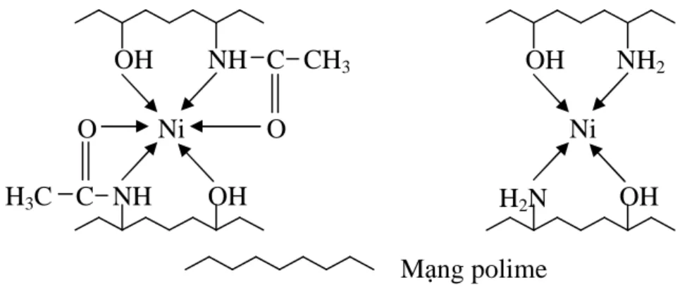 Hình 1.4. Sự hấp phụ tạo phức với Ni 2+  của chitin và chitosan OH 