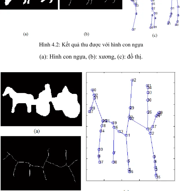 Hình 4.2: Kết quả thu đƣợc với hình con ngựa  (a): Hình con ngựa, (b): xƣơng, (c): đồ thị