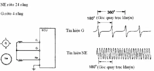 Hình 2.8 Kết nối và tín hiệu của cảm biến vận tốc trục cam. 