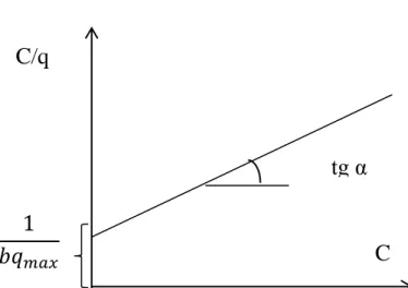 Hình 1.1: Đồ thị đường đẳng nhiệt hấp phụ Langmuir 