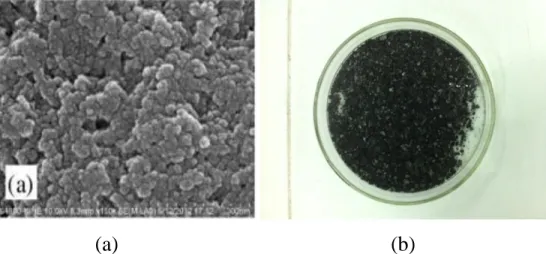 Hình 1.3. Ảnh SEM than hoạt tính (a) và ảnh vật liệu   1.5.2. Phụ phẩm nông nghiệp 
