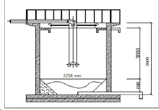 Hình 3.4: Mặt c t b  l ng 1  3.5. Bể xử lí k  khí  (UASB) 