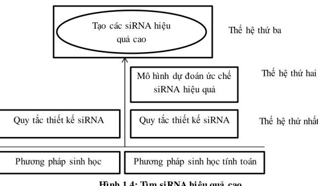 Bảng 1.1: Các quy  tắc thiết kế siRNA đƣợc  xây  dựng  trong thực nghiệm sinh học  Năm  Nhóm  nghiên  cứu  Số gen  Số siRNA  Công  nghệ 