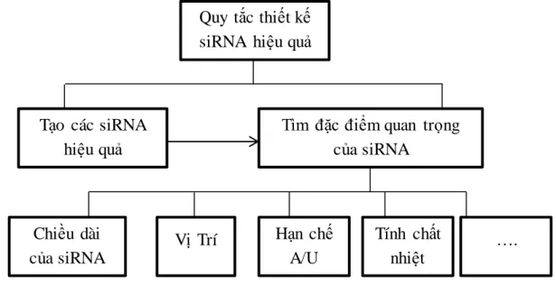 Hình 2.1: Quy  tắc thiết kế siRNA  hiệu quả  2.2. Quy  tắc thiết kế siRNA hiệu quả  trong phƣơng  pháp  sinh học 