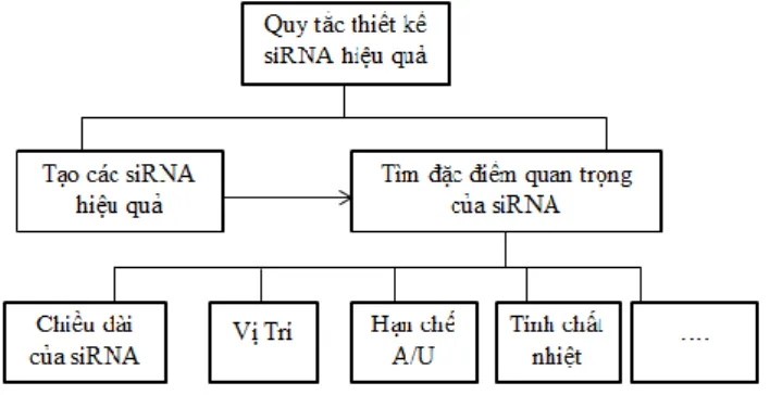 Hình 2.1 Quy tắc thiế t kế siRNA hiệ u quả 