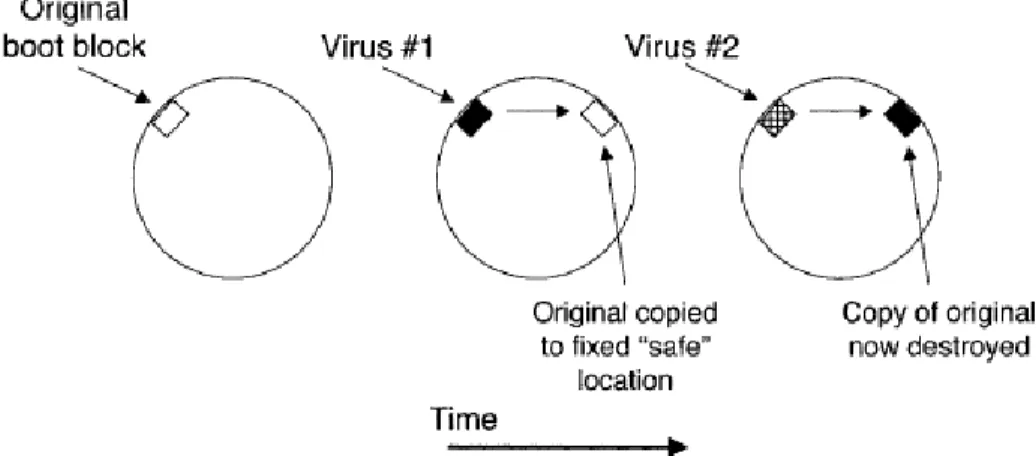 Hình 1.1 Khối khởi động bị lây nhiễm bởi nhiều virus [10] 