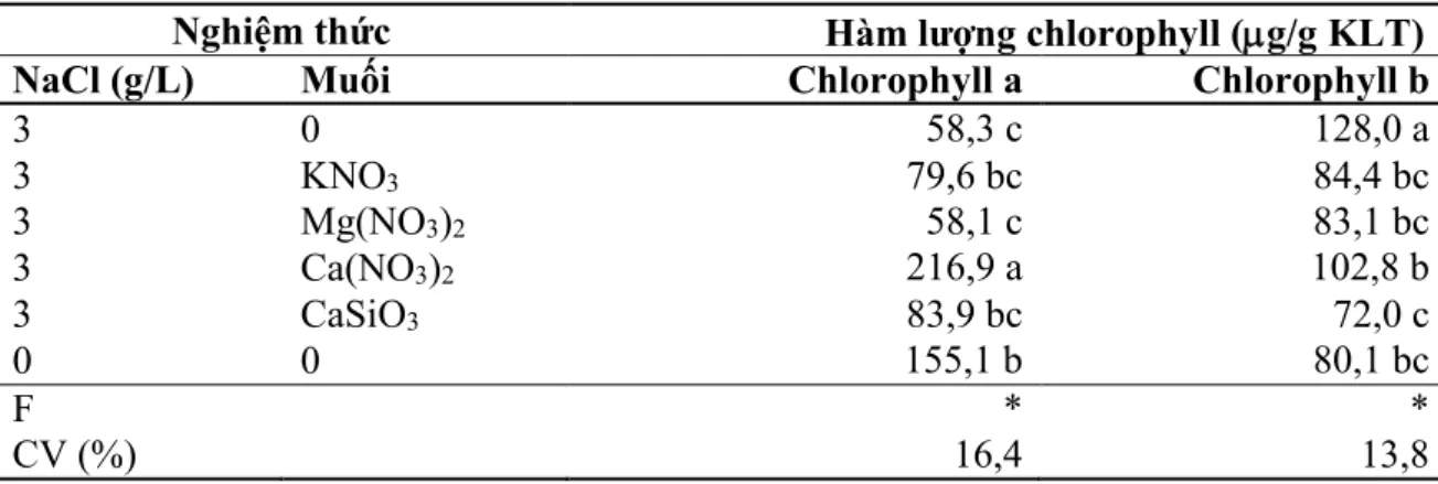 Bảng 5. Hàm lượng chlorophyll 