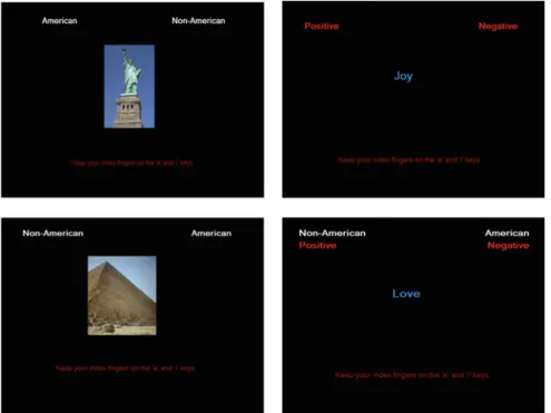 Fig. 8.9 Screen shots from ethnocentrism IAT