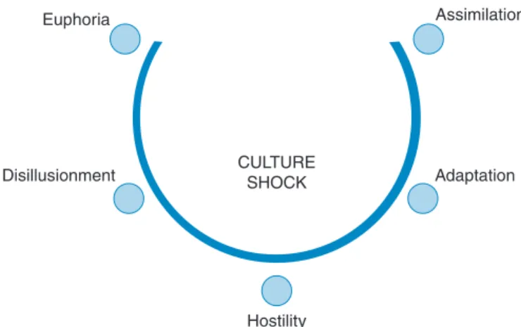 Fig. 12.  The U-Curve of Culture Shock. 