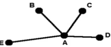Fig. 11.1 The hub and spoke system
