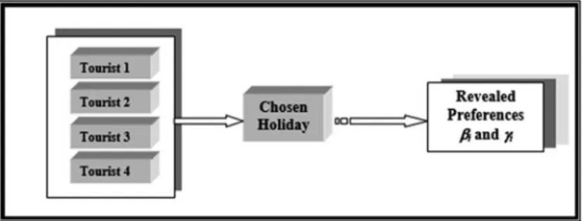 Fig. 2 Individual revealed preferences through choices made