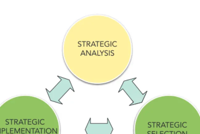 Figure P1.1  A schematic of the strategic process