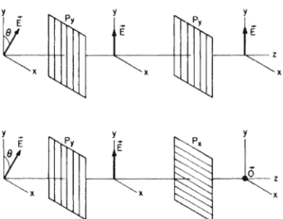Figure  1.4.  P,  and  P,  are  polarizers  placed  in  the  way  of a  beam  traveling along the  z  axis