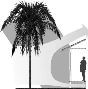Figure 3.7 High-branched trees, such as palms, provide shade and let the air flow freely around the building.