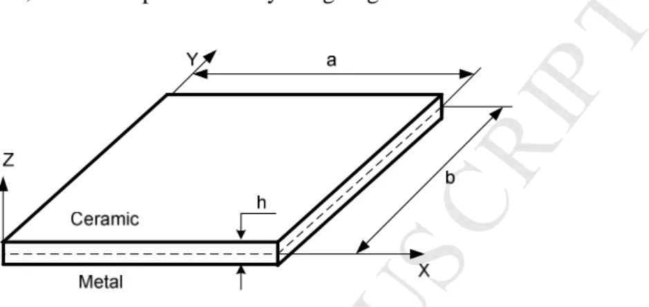 Fig. 2 Geometrical notation of a rectangular FG plate. 