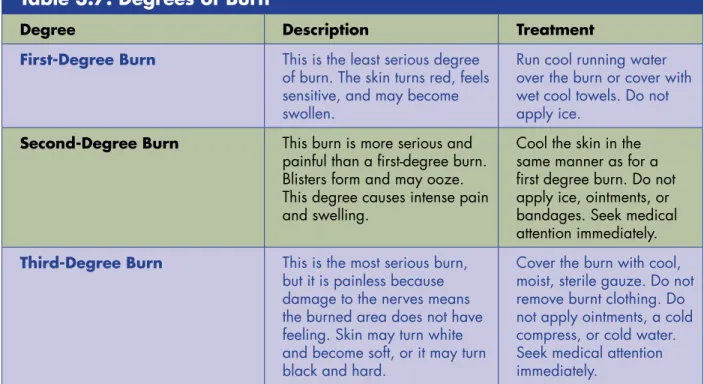 Table 3.7: Degrees of Burn