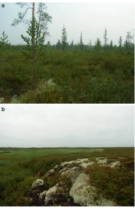 Fig. 3.2  Natural undisturbed sparse forest (a) and palsa (b) in the region (Photographs by: 