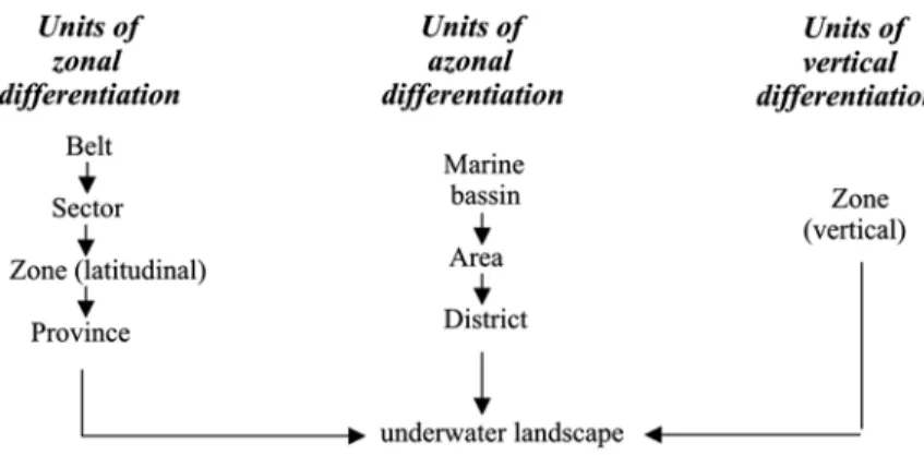 Fig. 4.1  Three-rank system of units of landscape-bionomic regionalization (Petrov 2004)