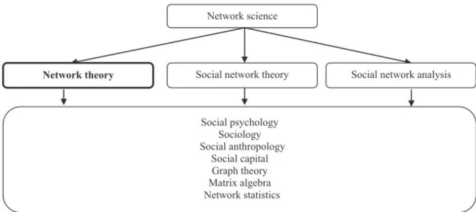 Figure 1.1  The roots of network theory and its position within network science 