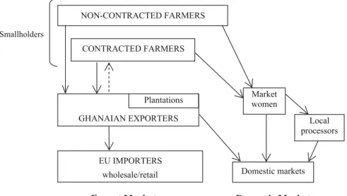 Fig. 8.1 Structure of the pineapple sector in Ghana. Source Illustrated by authors